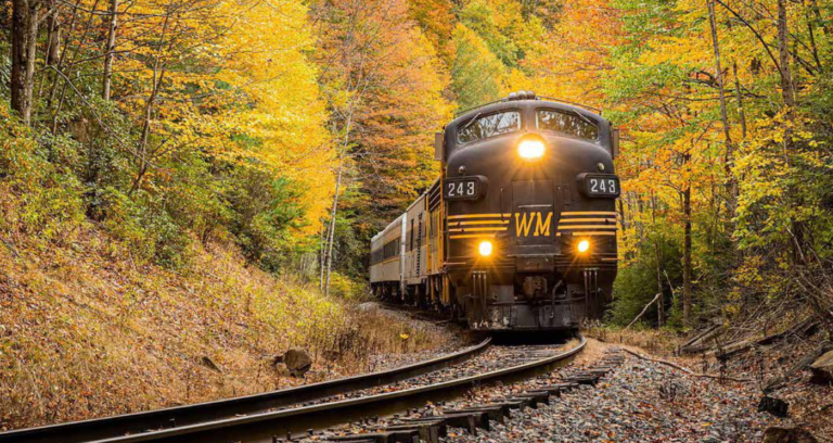 A passenger train passing through a wooded area in West Virginia.